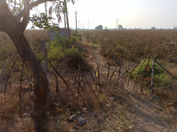  Agricultural Land for Sale in Dhari, Amreli