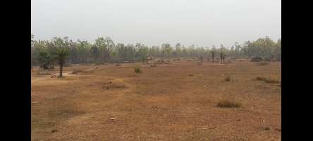  Agricultural Land for Sale in Beliatore, Bankura