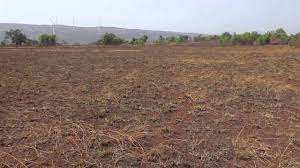  Agricultural Land for Sale in Jumanal, Bijapur