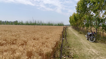  Agricultural Land for Sale in Dataganj, Budaun