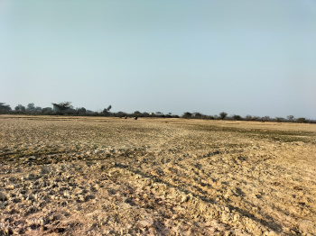  Agricultural Land for Sale in Harinagar Ashram, Delhi