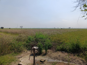  Agricultural Land for Sale in Bajaj Enclave, Dwarka, Delhi