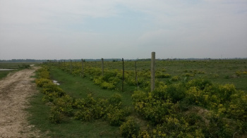  Agricultural Land for Sale in Dataganj, Budaun