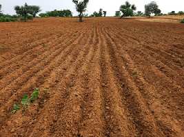  Agricultural Land for Sale in Karegaon, Pune