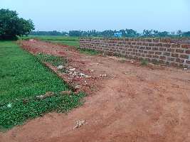 Residential Plot for Sale in Pahala, Bhubaneswar