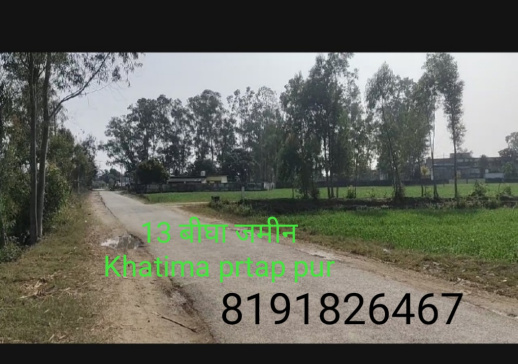 Agricultural Land 850000 Sq.ft. for Sale in Khatima, Udham Singh Nagar