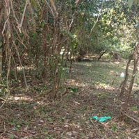  Commercial Land for Sale in Valanchery, Malappuram