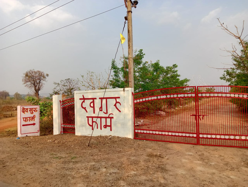  Agricultural Land 6000 Sq.ft. for Sale in Chargawan, Jabalpur