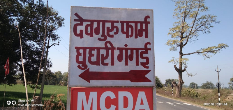  6000 Sq.ft. Agricultural/Farm Land for Sale in Chargawan, Jabalpur