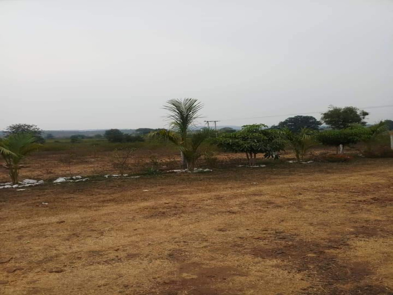 6000 Sq.ft. Agricultural/Farm Land for Sale in Chargawan, Jabalpur
