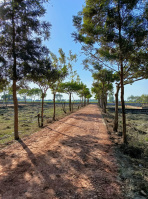  Residential Plot for Sale in NH 2, Palwal