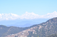  Residential Plot for Sale in Mukteshwar, Nainital