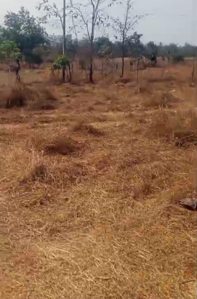  3 Acre Agricultural/Farm Land for Sale in Murbad, Thane