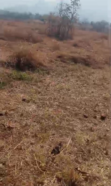  3 Acre Agricultural/Farm Land for Sale in Murbad, Thane