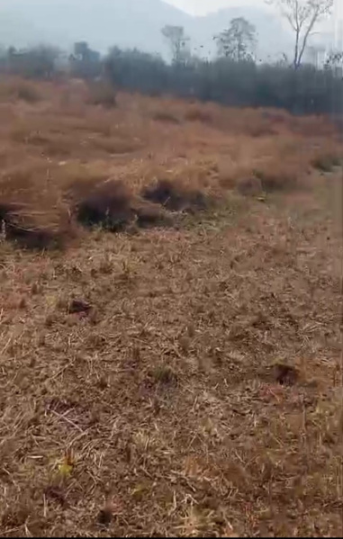  3 Acre Agricultural/Farm Land for Sale in Murbad, Thane