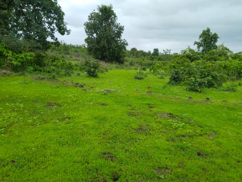  6 Acre Agricultural/Farm Land for Sale in Murbad, Thane