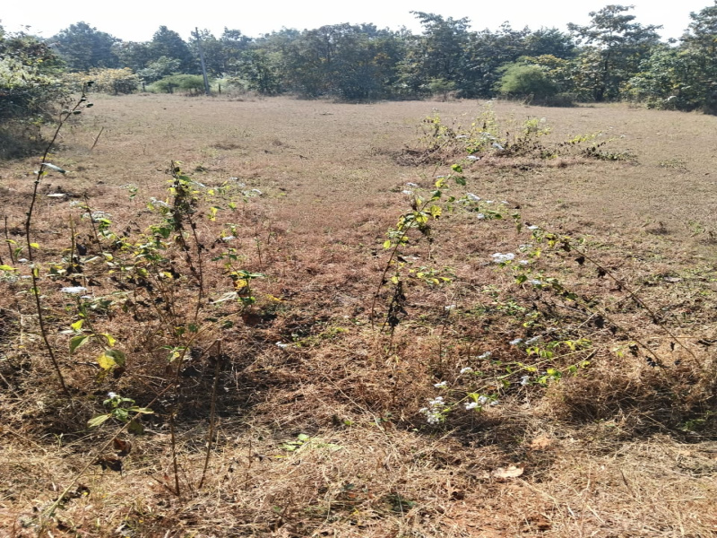  32000 Sq.ft. Agricultural/Farm Land for Sale in Murbad, Thane
