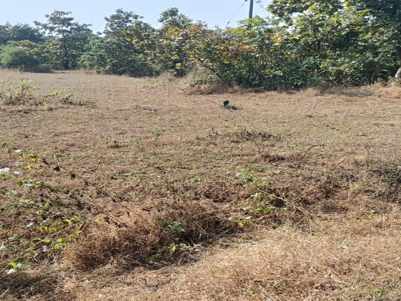  32000 Sq.ft. Agricultural/Farm Land for Sale in Murbad, Thane