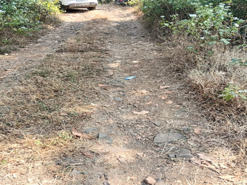  32000 Sq.ft. Agricultural/Farm Land for Sale in Murbad, Thane