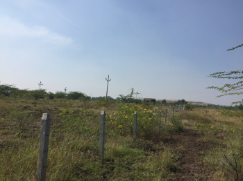  Agricultural Land for Sale in Yavat, Pune