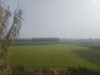 Residential Plot for Sale in Vikas Nagar, Dehradun