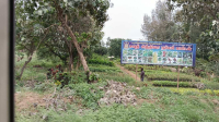  Residential Plot for Sale in Alangulam, Tirunelveli