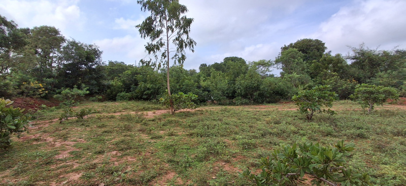  1 Acre Agricultural/Farm Land for Sale in Andimadam, Ariyalur