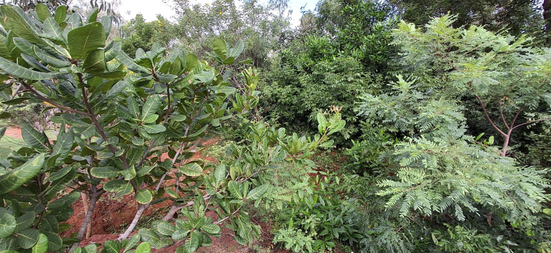  1 Acre Agricultural/Farm Land for Sale in Andimadam, Ariyalur