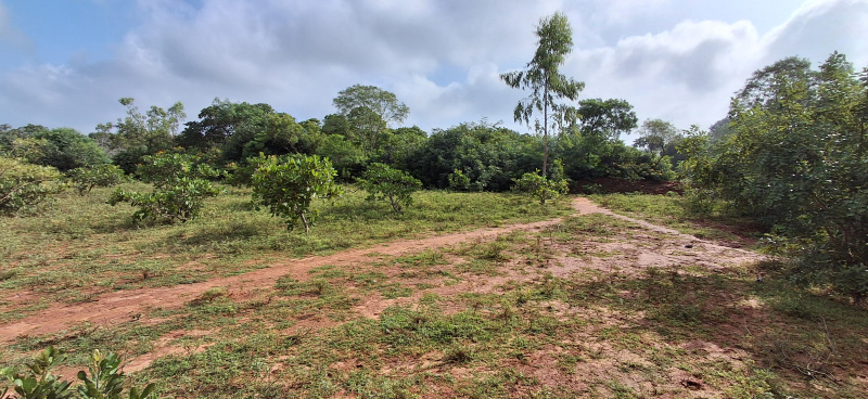  1 Acre Agricultural/Farm Land for Sale in Andimadam, Ariyalur