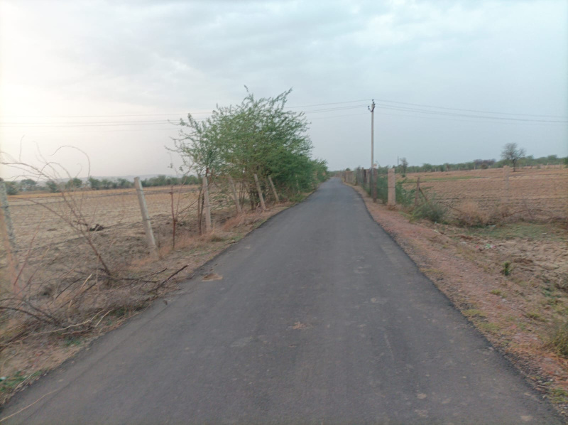  Agricultural Land 10 Bigha for Sale in Naugaon, Alwar