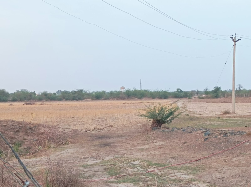  Agricultural Land 10 Bigha for Sale in Naugaon, Alwar