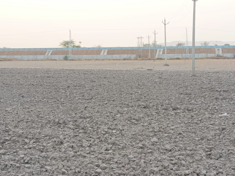  Agricultural Land 10 Bigha for Sale in Naugaon, Alwar