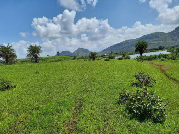  Agricultural Land for Sale in Tehla, Alwar
