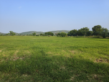  Agricultural Land for Sale in Delhi Bypass Road, Alwar