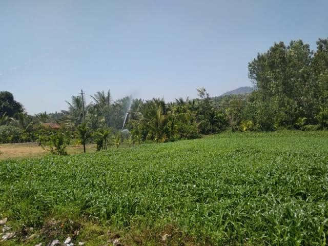  Agricultural Land 40 Bigha for Sale in Delhi Bypass Road, Alwar