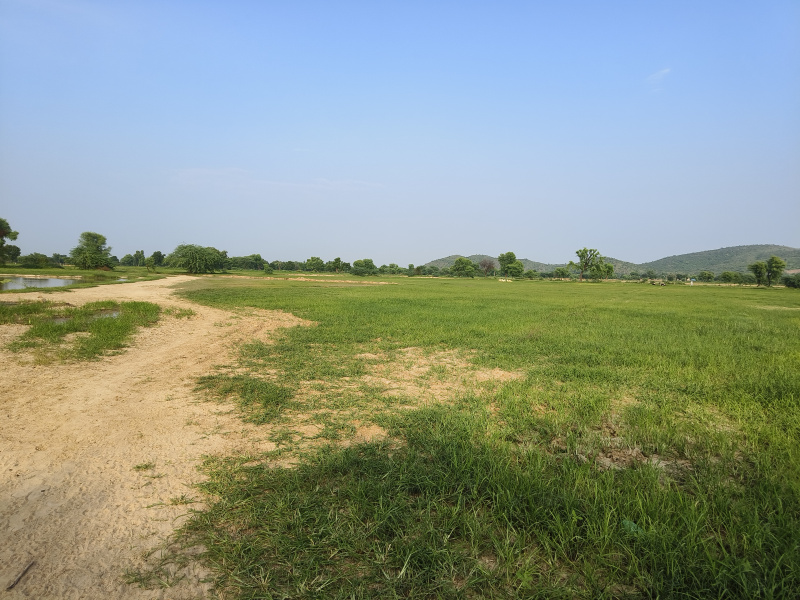  Agricultural Land 2 Bigha for Sale in Naugaon, Alwar