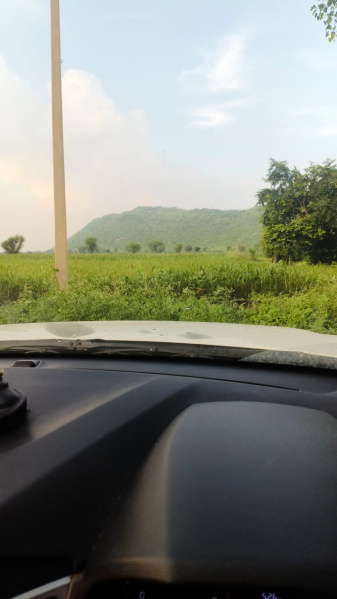  Agricultural Land 7 Bigha for Sale in Naugaon, Alwar