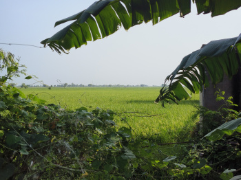  Agricultural Land for Sale in Kapren, Bundi