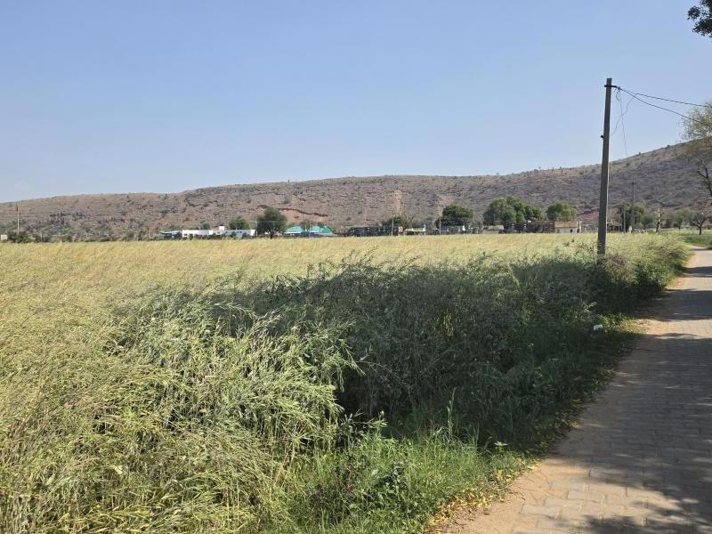  Agricultural Land 85 Bigha for Sale in Naugaon, Alwar