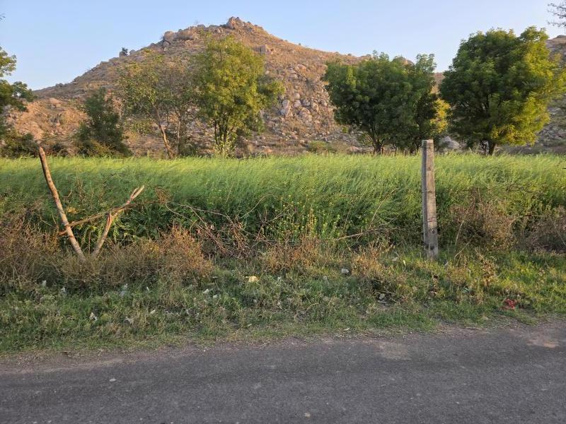  Agricultural Land 85 Bigha for Sale in Naugaon, Alwar