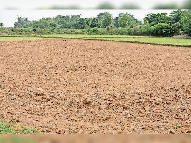  Agricultural Land 40 Bigha for Sale in Naugaon, Alwar