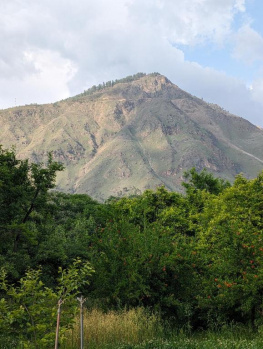  Agricultural Land for Sale in Khairthal, Alwar