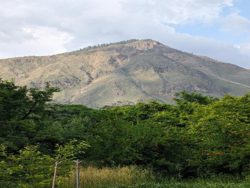 21 Bigha Agricultural/Farm Land for Sale in Khairthal, Alwar