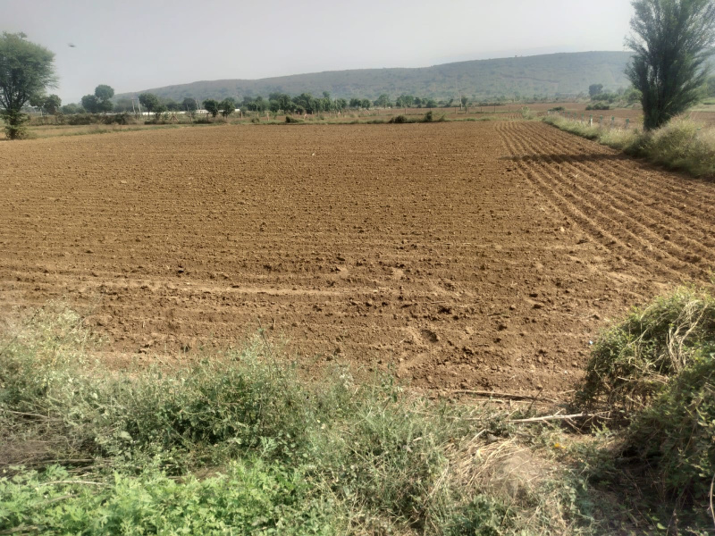 42 Sq.ft. Agricultural/Farm Land for Sale in Kishangarh, Alwar