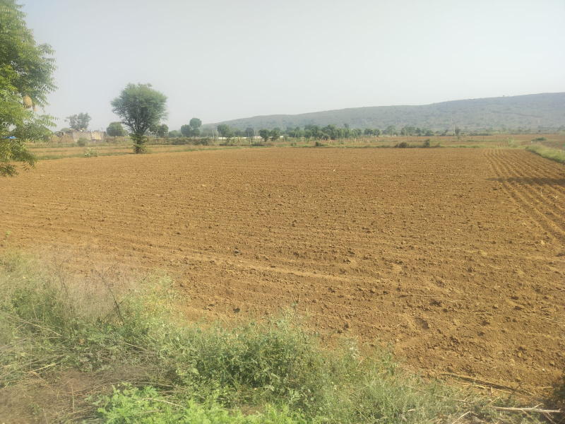 42 Sq.ft. Agricultural/Farm Land for Sale in Kishangarh, Alwar