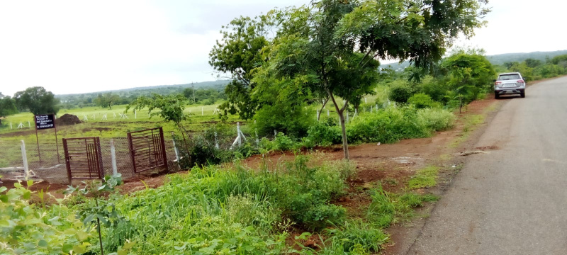  85 Bigha Agricultural/Farm Land for Sale in Bandikui, Dausa