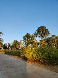  Industrial Land for Sale in Burhar, Shahdol
