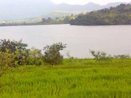  Agricultural Land for Sale in Igatpuri, Nashik