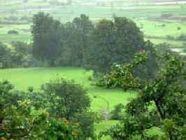  Agricultural Land for Sale in Igatpuri, Nashik