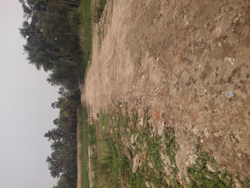  Residential Plot 720 Sq.ft. for Sale in Khariberia, Kolkata